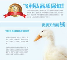 寒冬暖意，浪漫滿屋 飛利弘精品特價羽絨被，助您安享舒適睡眠