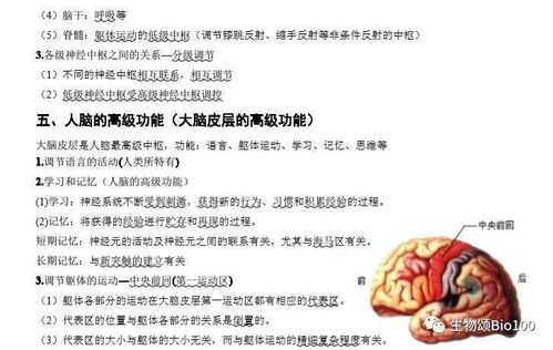 期末沖刺 高中生物必修三基礎(chǔ)知識(shí)點(diǎn)匯總，考前必看